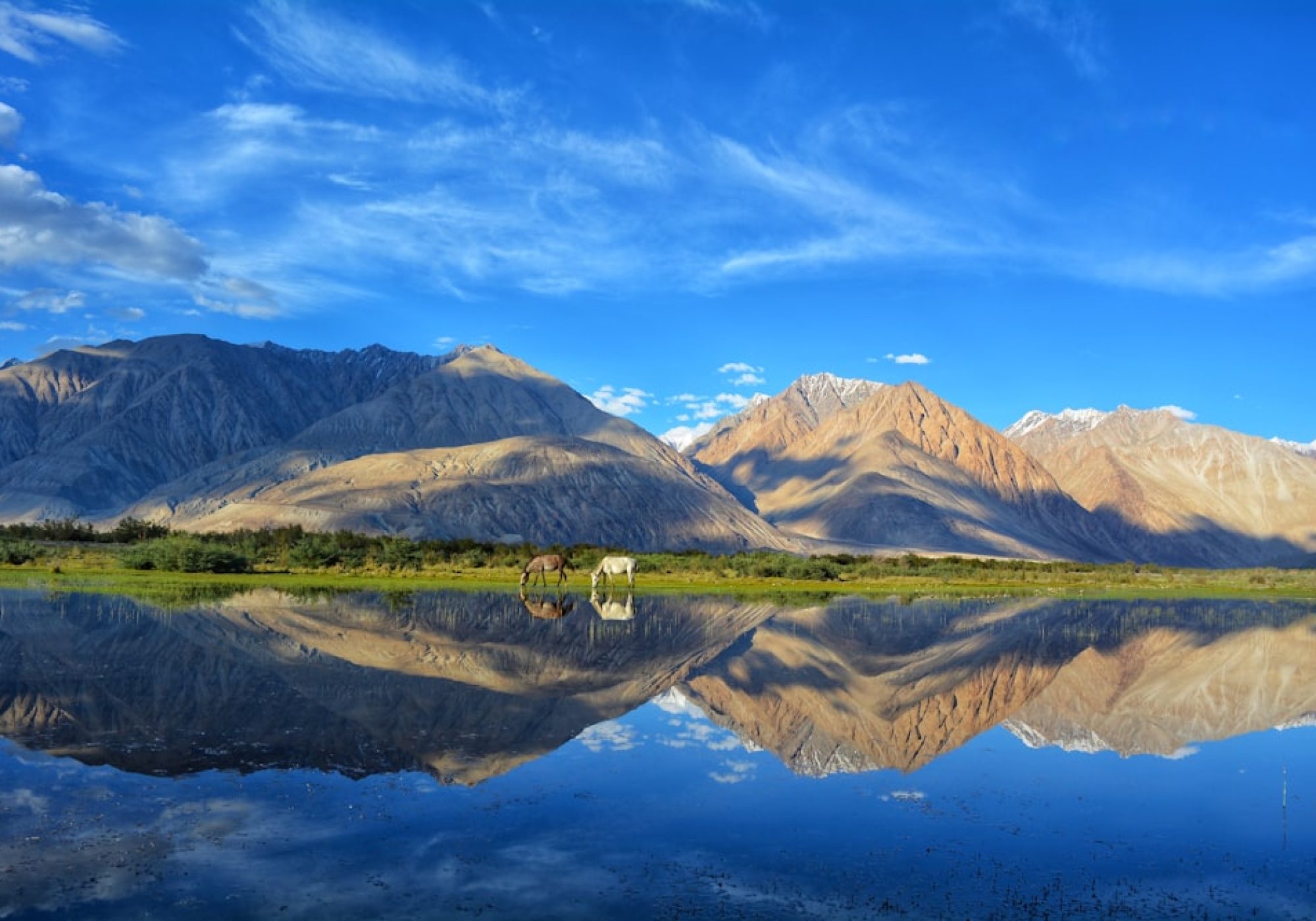 leh_ladakh_tour